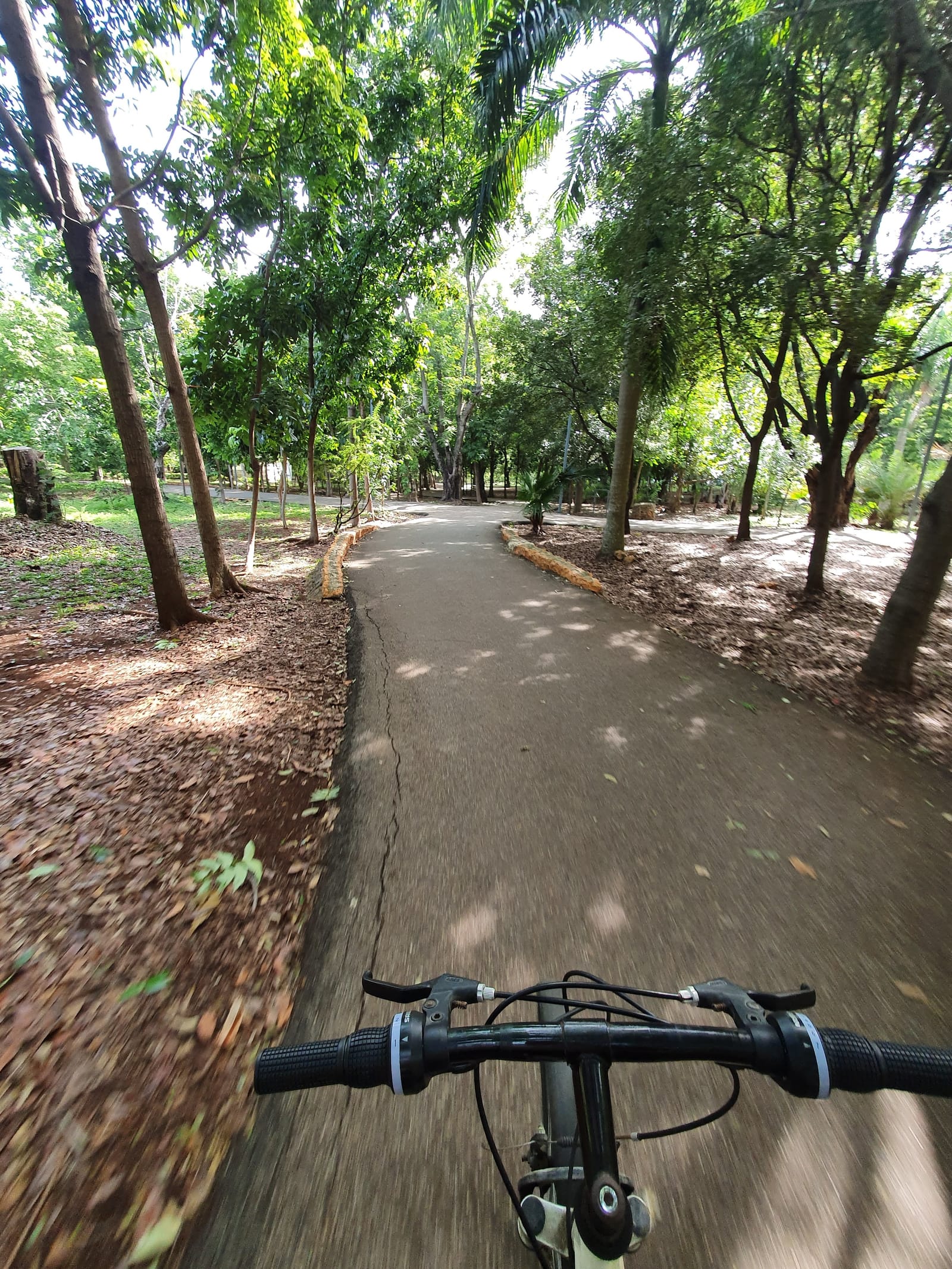 Cultura del parque